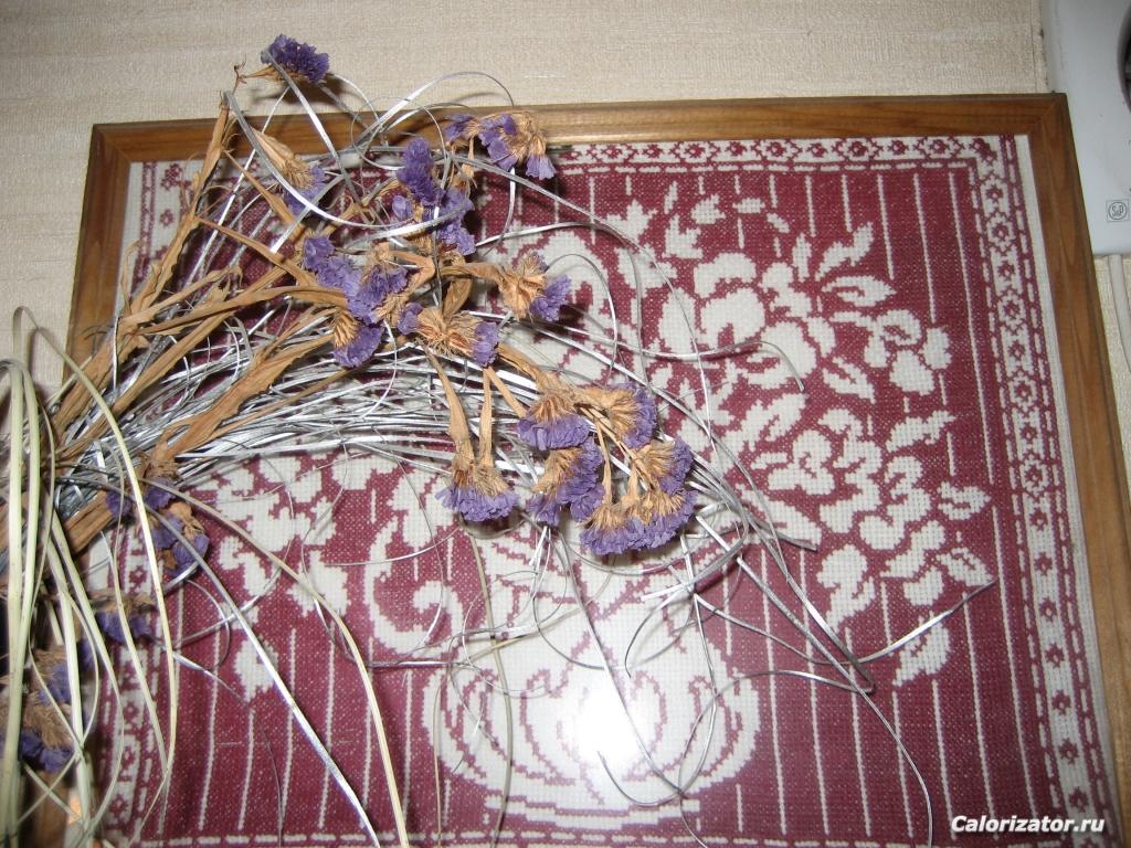 IMG 3569