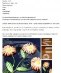 Снимок12