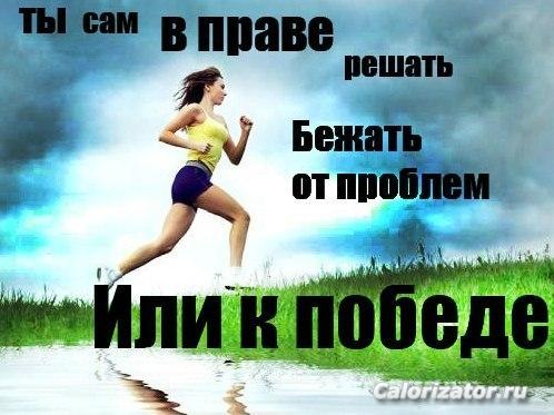 qa1 IvwJJkc