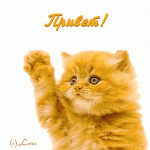 привет