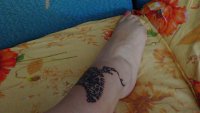 DSC00737