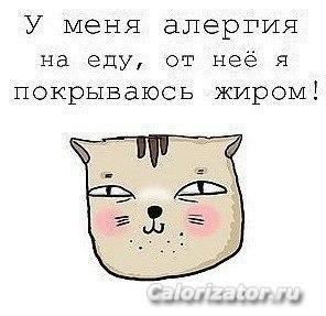 3z28 HaFq1Y