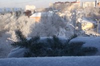 ветка