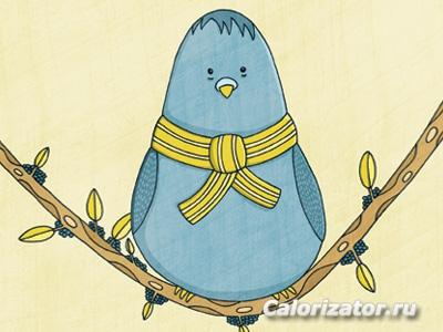 Fat pigeon