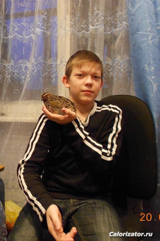 Тёма и Браша