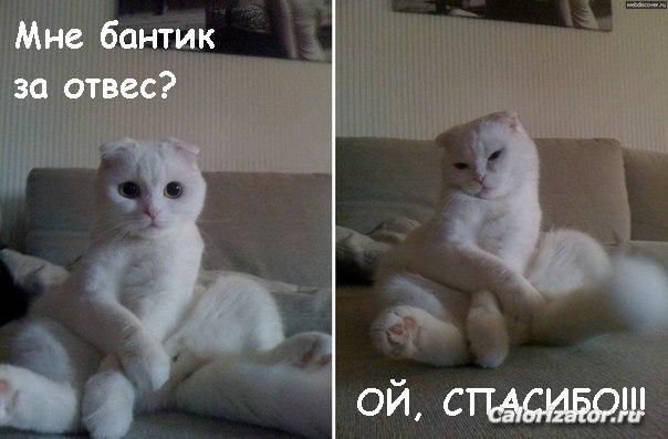 Воть :)