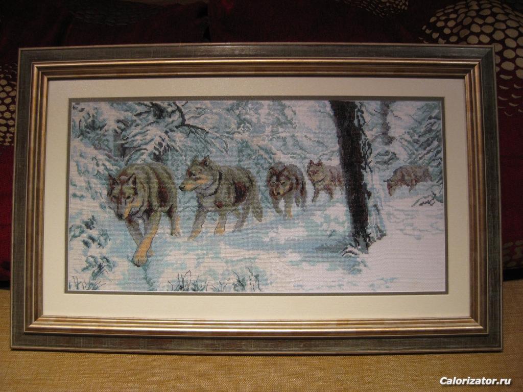 Стая