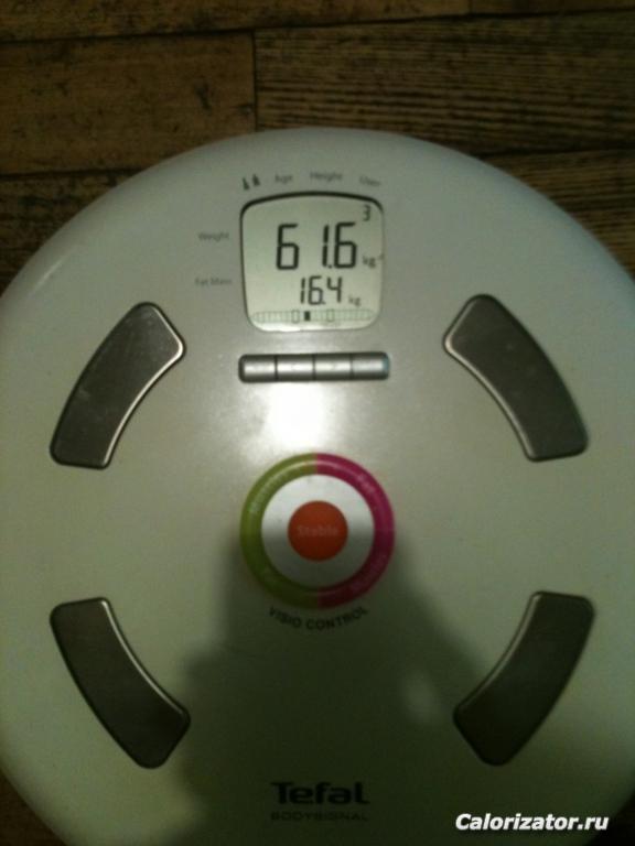 61,6