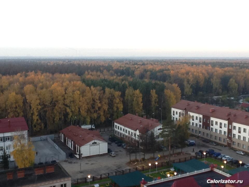 Лосиный остров осень 2013