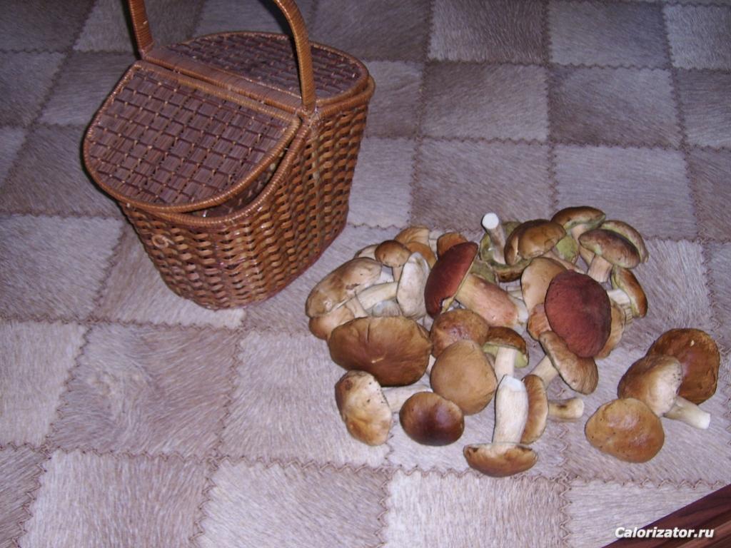 ДГ 2010 077.j