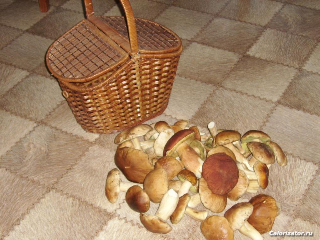 ДГ 2010 078.j