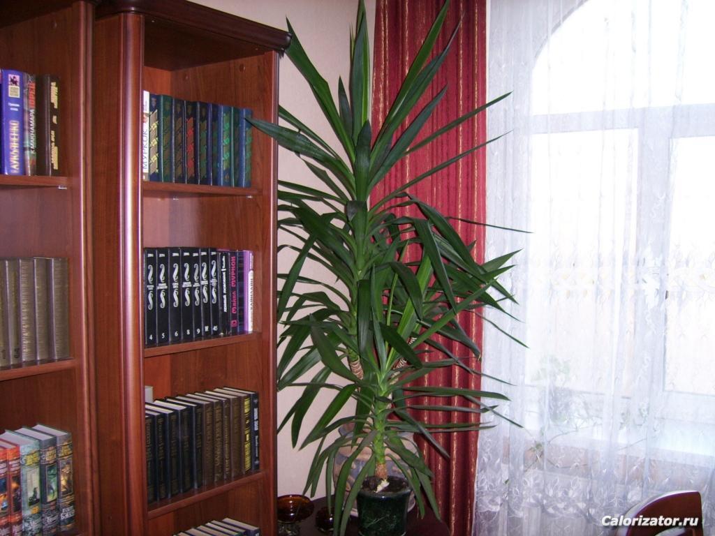 Мои питомцы 005.jpg