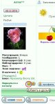 Как добавлять в друзья