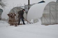 тепличка