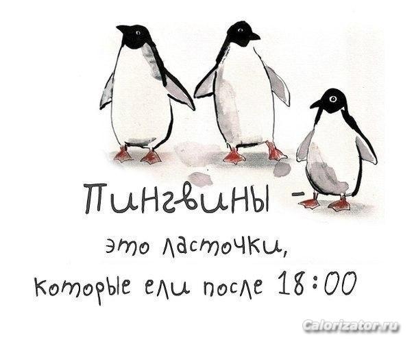 140381278044448212