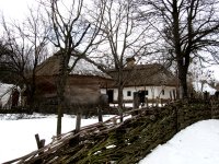 IMG 4628