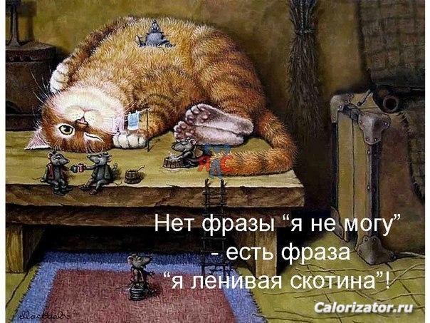 EZyjRakfW M