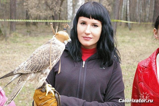 На соколятнике
