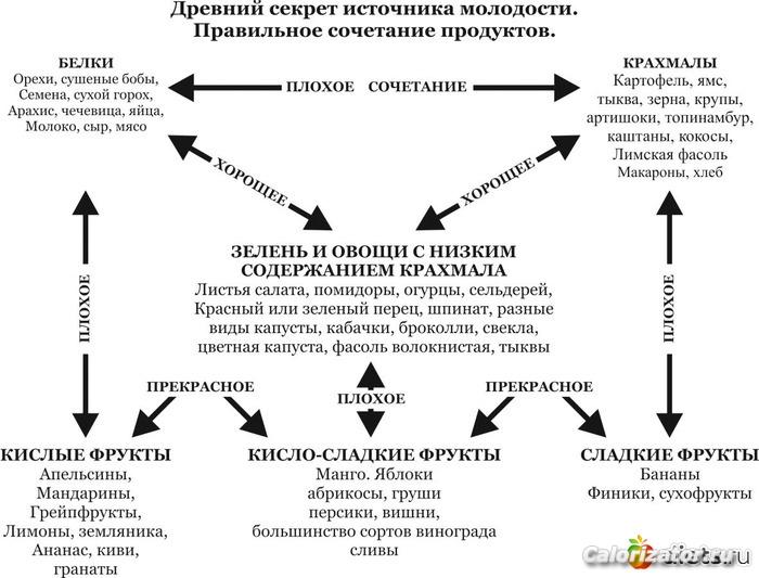 питание