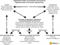 питание
