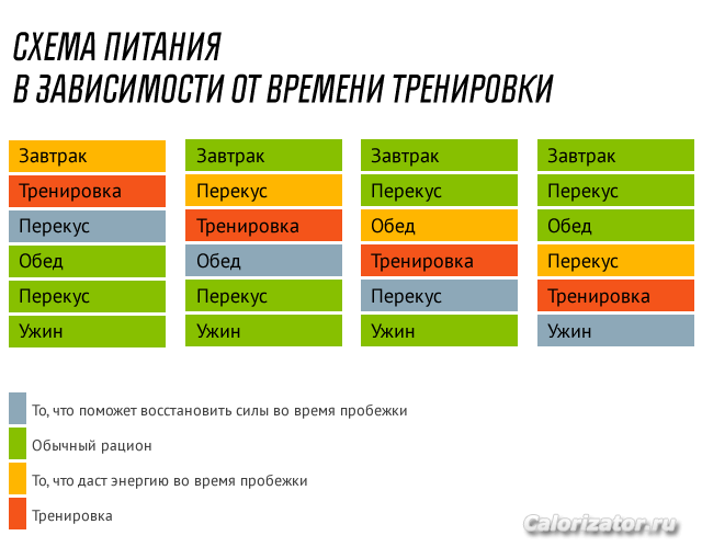 тренировка