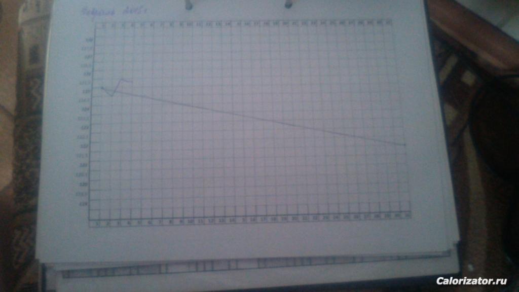 IMG 20150204 132653