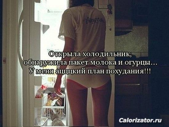 vjnbdfwbz