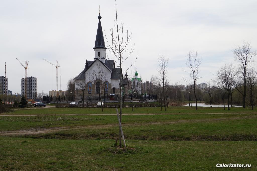 DSC00698