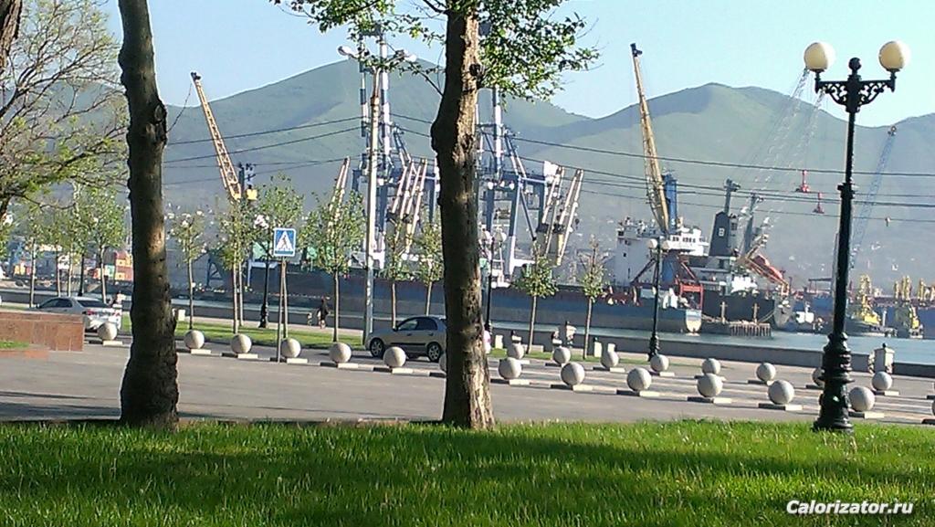 IMAG0064