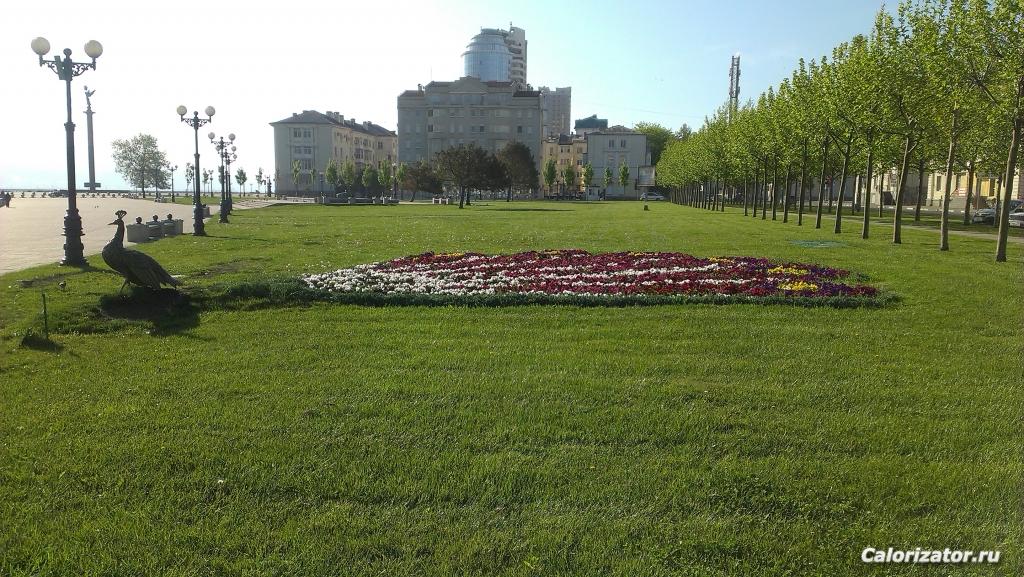 IMAG0065