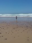 IMG 20160526 135940