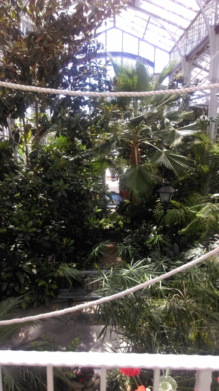 IMAG0911