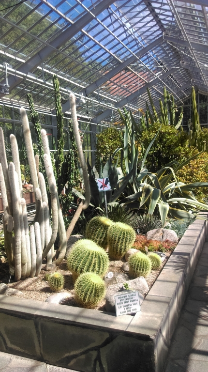 IMAG0923
