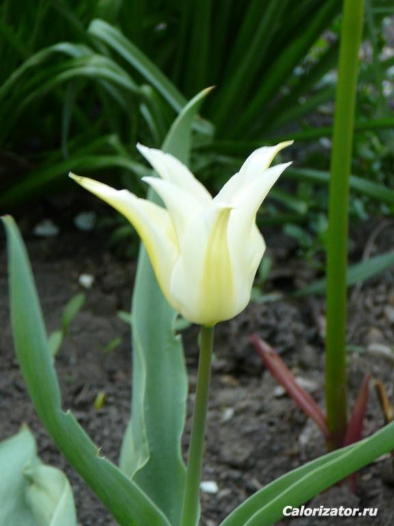 P1010061