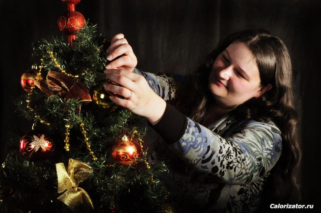 Новый год 2013
