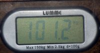 весы 10.06.13.
