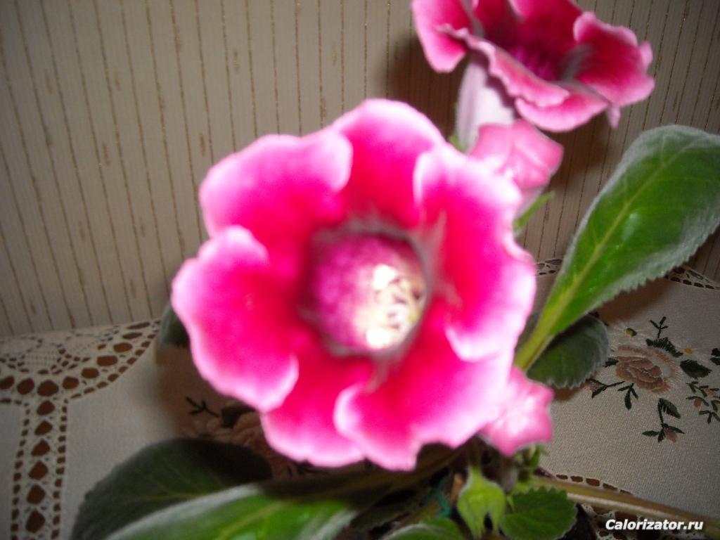 DSCN2628