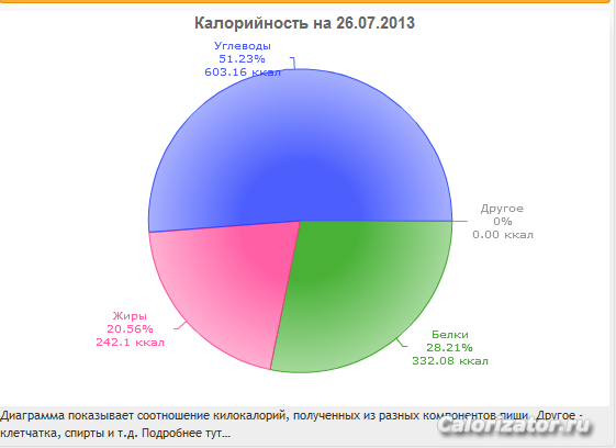 БЖУ 26.07.13