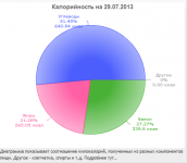 БЖУ на 29.07.13