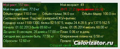 Мой информер за 04.08.13