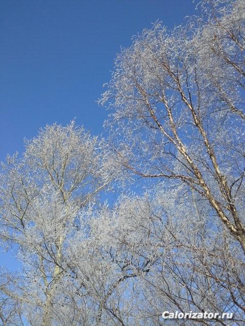 20131228 124209