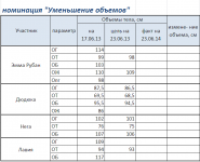 таблица объемов на 17.06.13