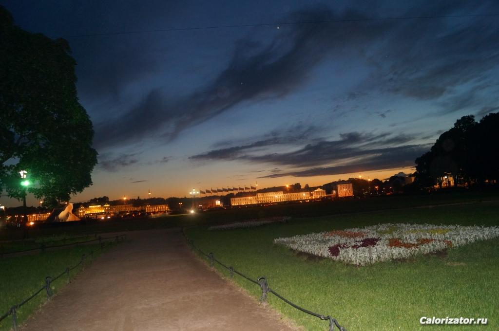 DSC00818