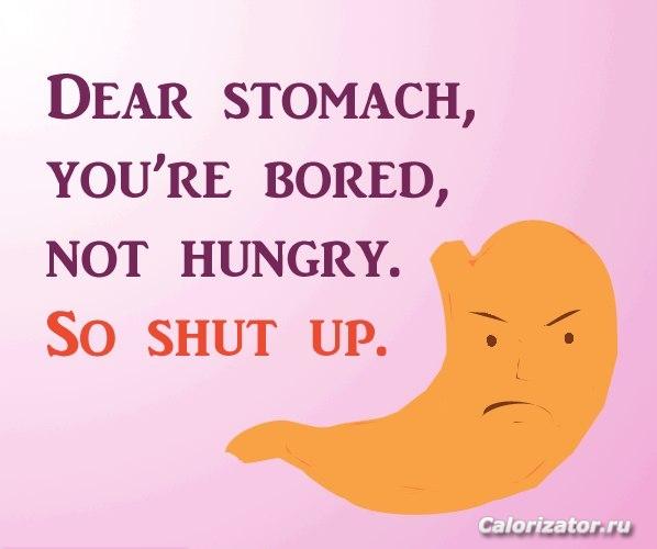 stomach