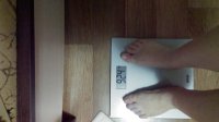 IMAG0598