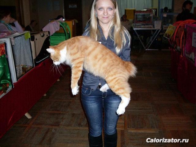 getImage (52)
