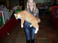 getImage (52)