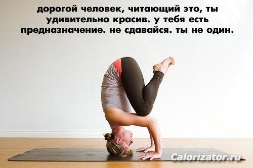 ca8f3c5272cb