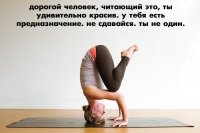 ca8f3c5272cb