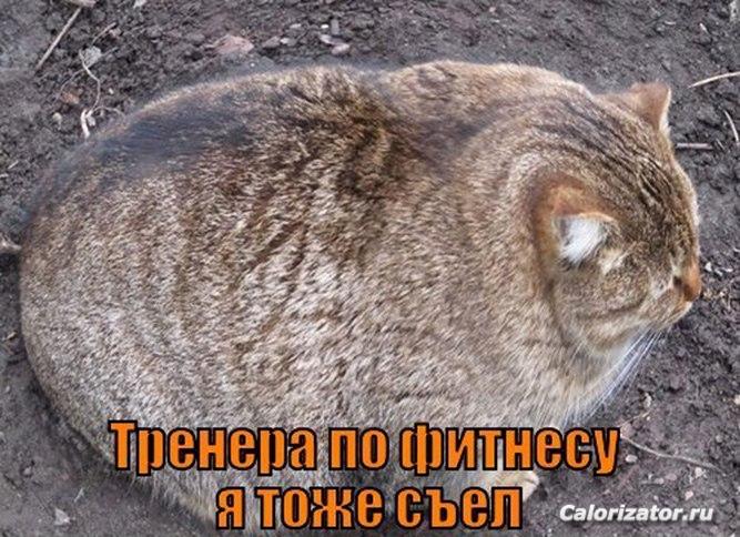14Px8ntmOvU